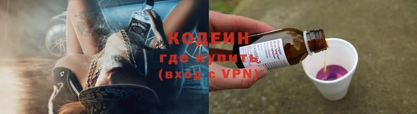 ГАЛЛЮЦИНОГЕННЫЕ ГРИБЫ Касимов