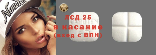ГАЛЛЮЦИНОГЕННЫЕ ГРИБЫ Касимов